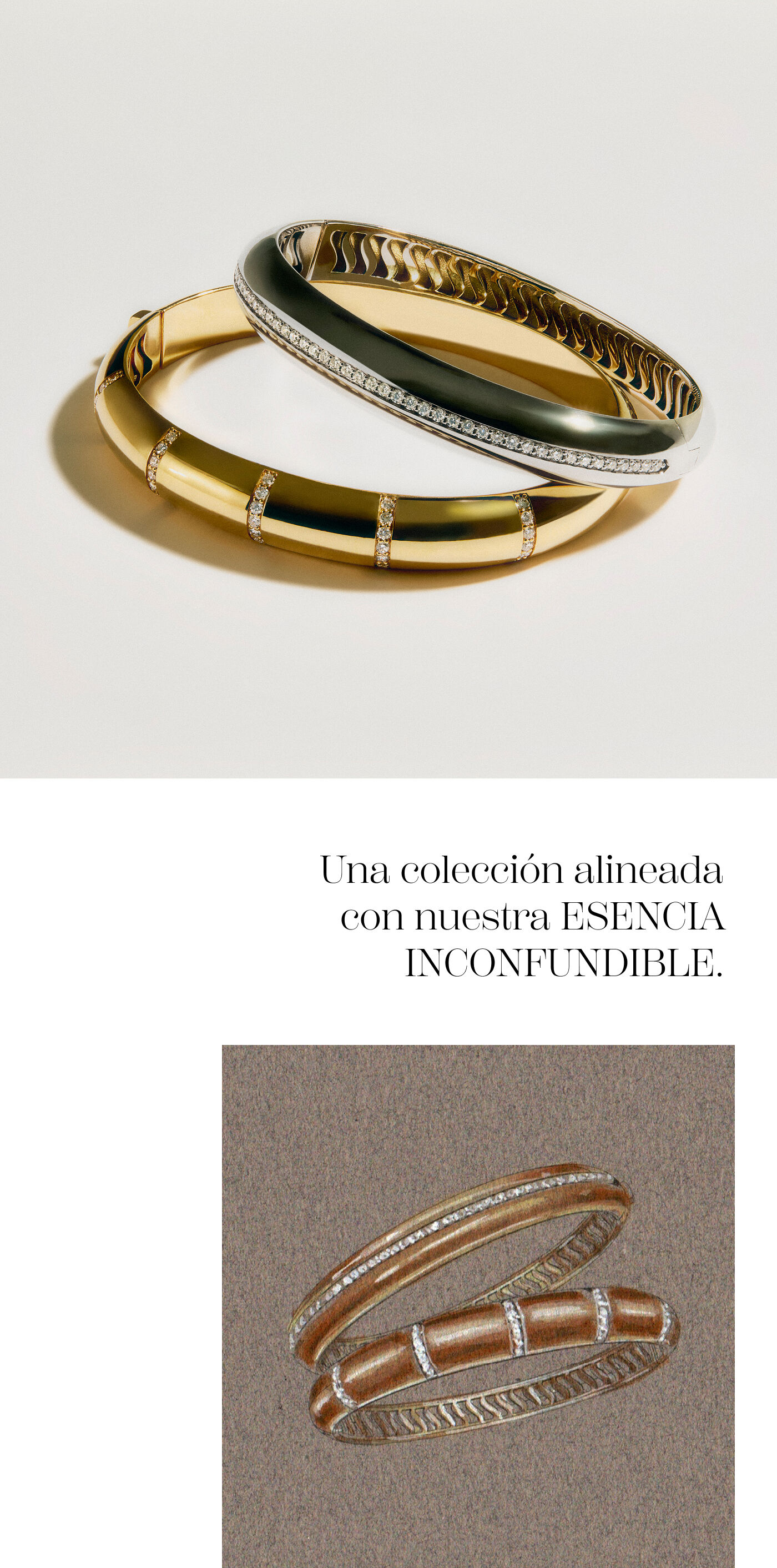 Elipse | Casa Suarez