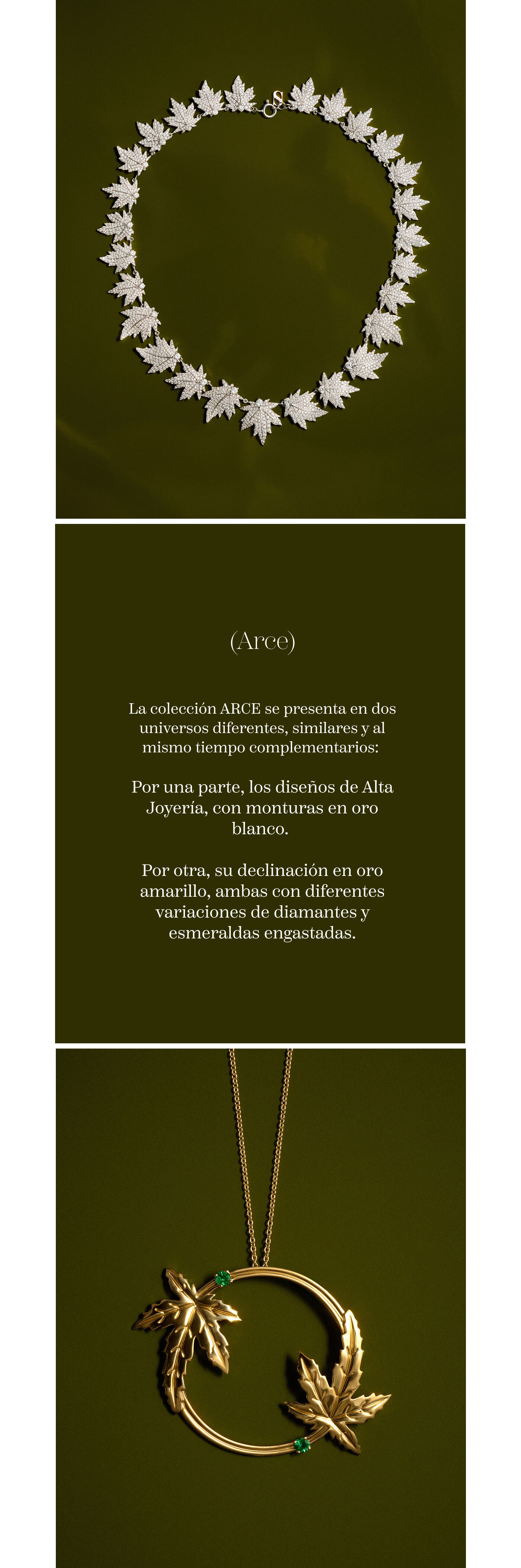 Hojas de arce | Casa Suarez