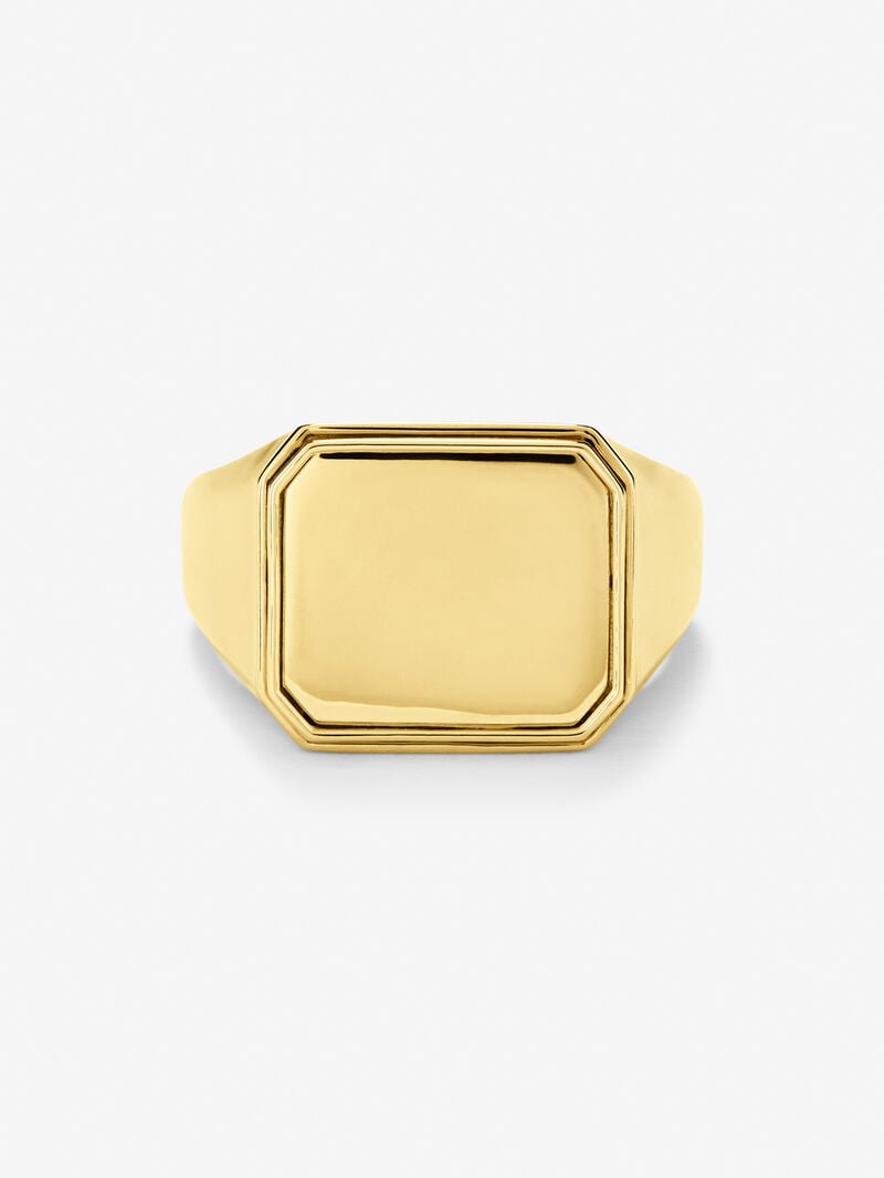 18K Yellow Gold Large Signet Ring image number 2