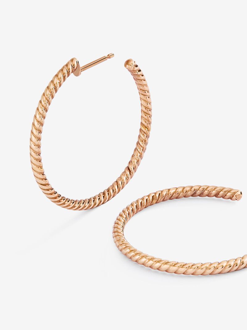 Distant Heels Rose Gold Earrings image number 2