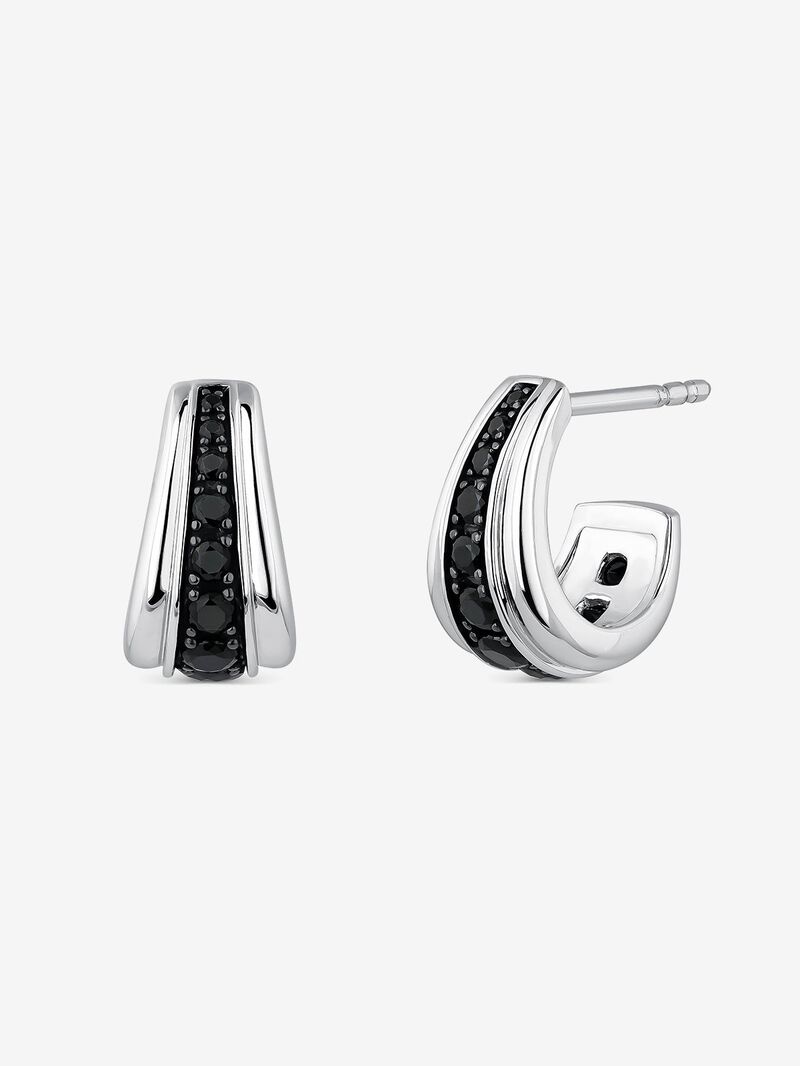 Silver earrings with black spiners image number 0