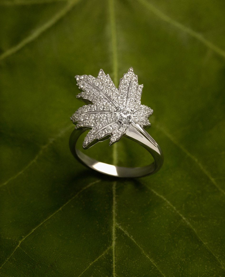 Anillos